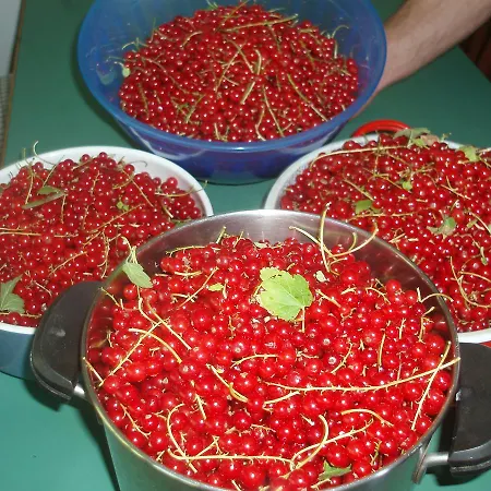 Tinnerhof مزرعة للإقامة أبيانو سولاّ ستراذا